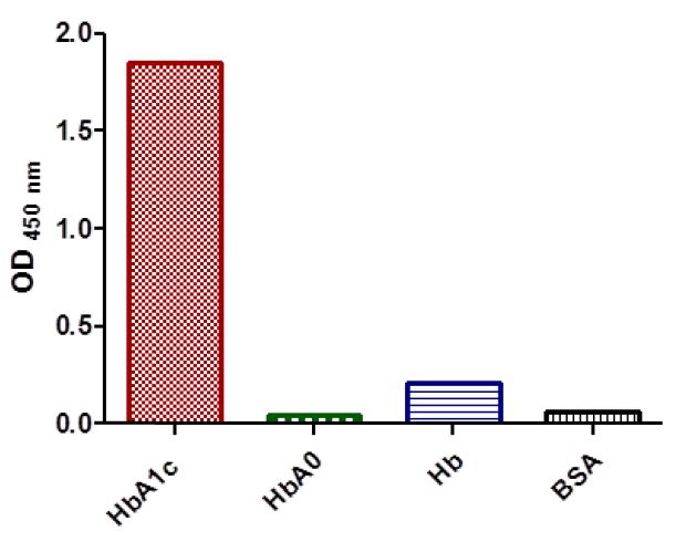 抗糖化血红蛋白抗体-酶联免疫吸附测定(ELISA)2