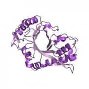 内-β-N-乙酰氨基葡糖苷酶A CAS 37278-88-9 EC 3.2.1.96 结构式