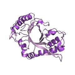 内-β-N-乙酰氨基葡糖苷酶A CAS 37278-88-9 EC 3.2.1.96 结构式