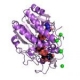 尿苷二磷酸葡萄糖 4-表异构酶; CAS 9032-89-7 EC 5.1.3.2 结构式