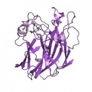 糖肽酶CAS 83534-39-8 EC 3.5.1.52 结构式
