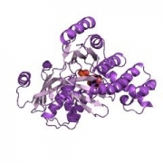 结构式-半乳糖激酶 CAS 9030-53-9 EC 2.7.1.6