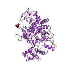 结构式-尿苷二磷酸-糖焦磷酸化酶 CAS UENA-0191 EC 2.7.7.64