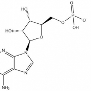 结构式