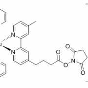 TAG-NHS-酯 CAS 161698-59-5 结构式