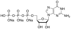 鸟苷-5'-三磷酸三钠盐 CAS 36051-31-7 结构式