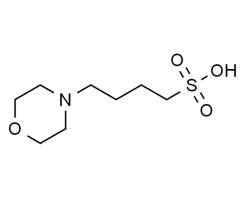 吗啉丁磺酸 CAS号 115724-21-5 结构式