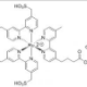 Structure of Sulfo-TAG NHS-Ester CAS 482618-42-8