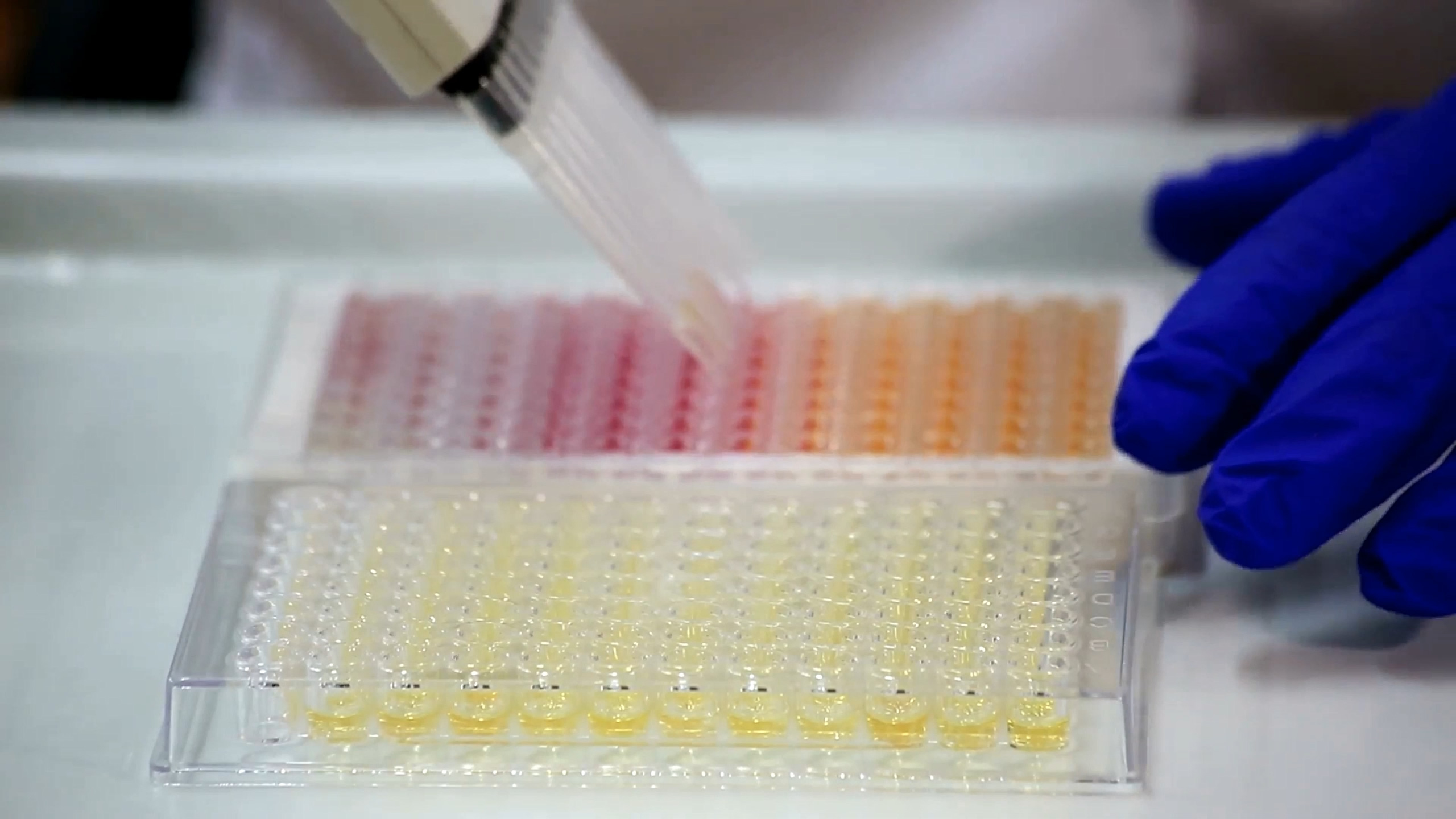 Key Role in Immunoassay and Diagnostic Systems